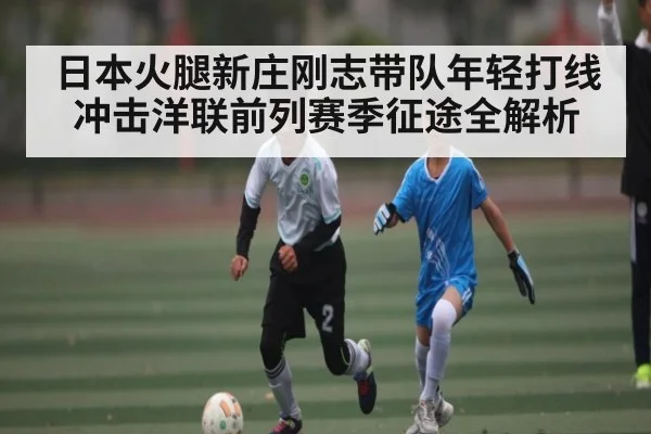 日本火腿新庄刚志带队年轻打线冲击洋联前列赛季征途全解析